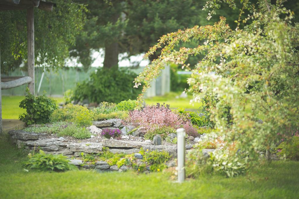 Arina Cottages Nasva Zimmer foto